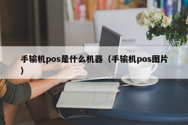 手输机pos是什么机器（手输机pos图片）