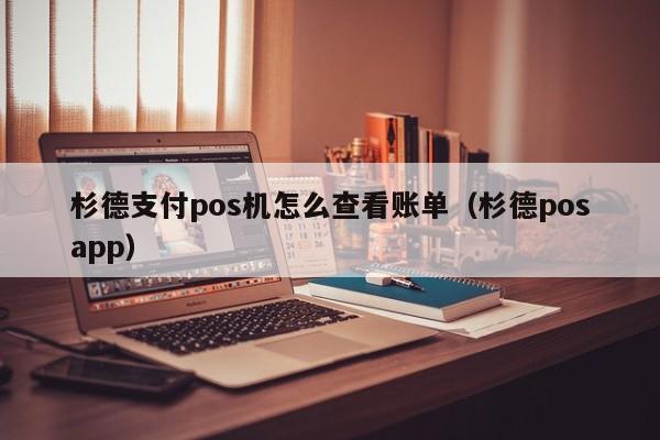 杉德支付pos机怎么查看账单（杉德posapp）