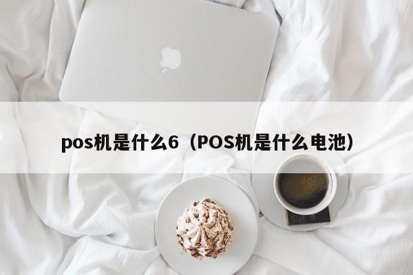 pos机是什么6（POS机是什么电池）