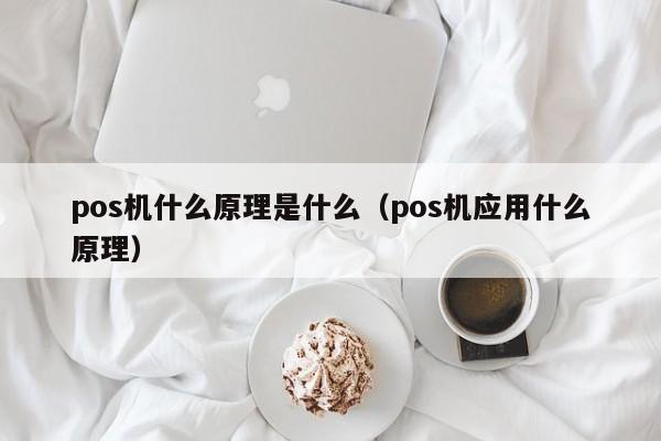 pos机什么原理是什么（pos机应用什么原理）